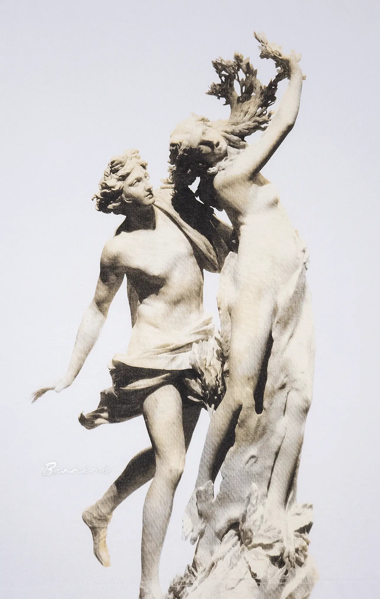 Playera Oversize Raglán Hombre - Apolo e Dafne