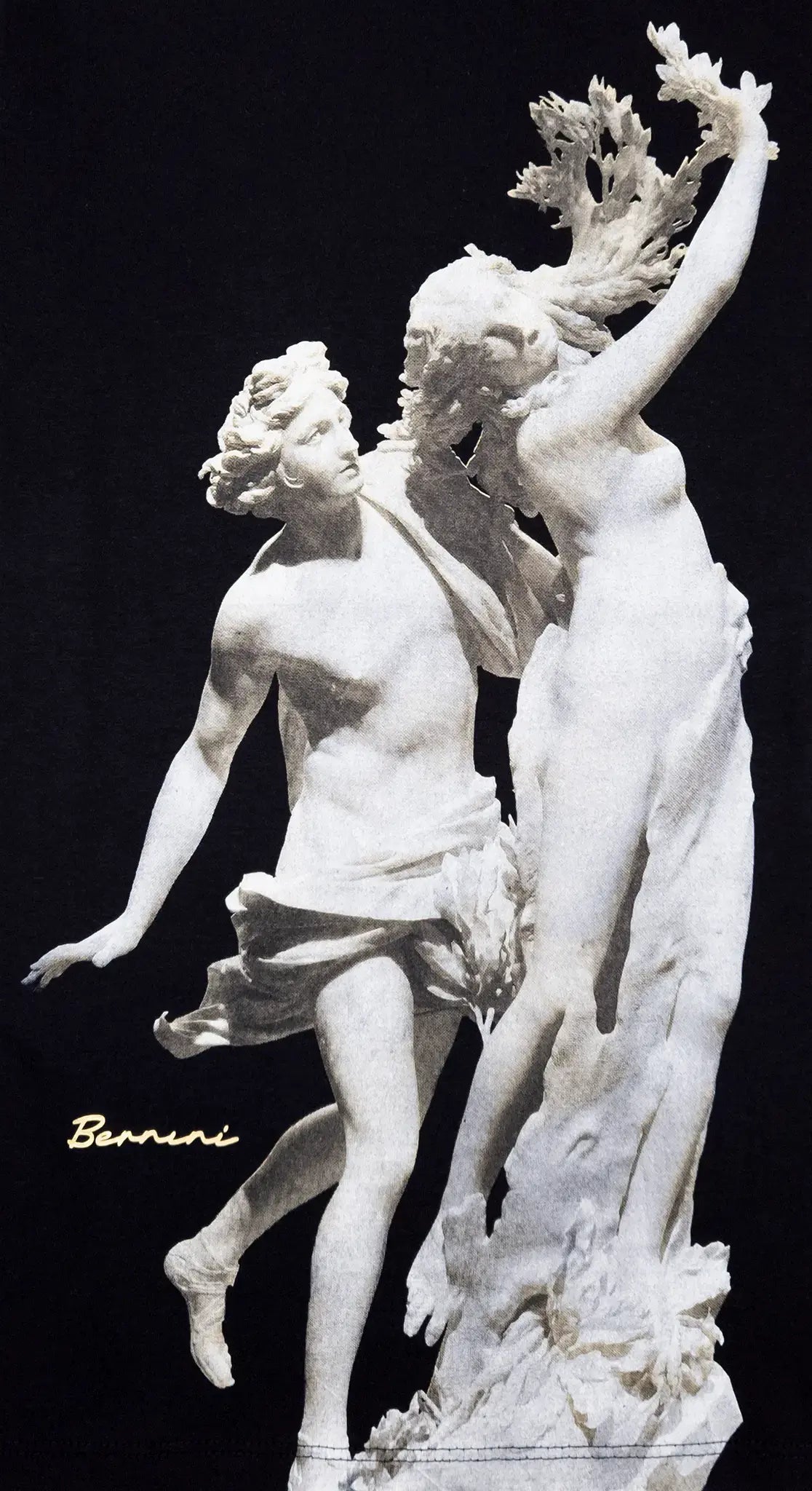 Playera Regular Mujer - Apolo e Dafne