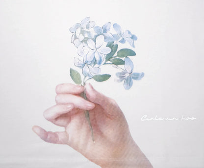 Regular Top Mujer - La Marquise de Pompadour